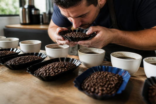 How to Identify High Quality Coffee: A 2026 Guide